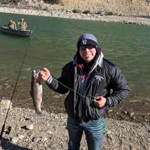 Meet your Posher, Frankie